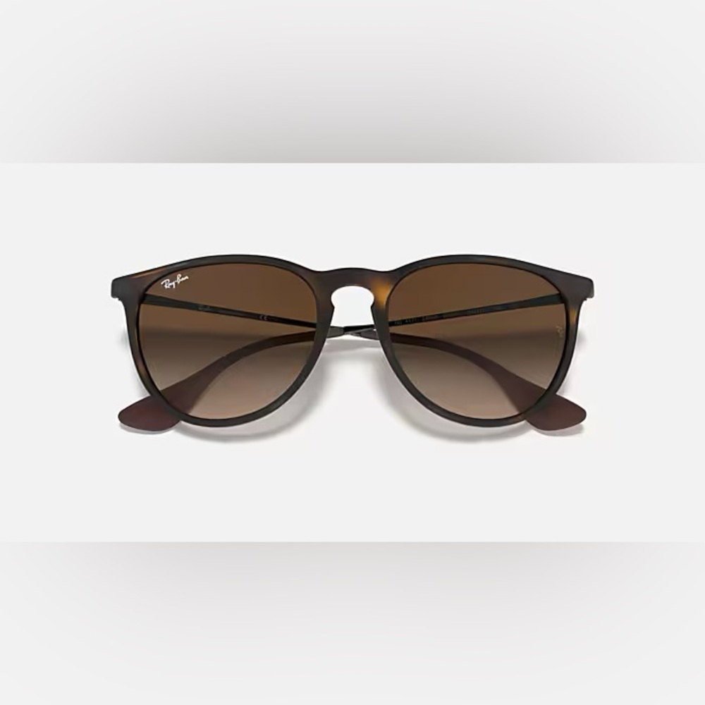 Ray-Ban Erika Sunglasses